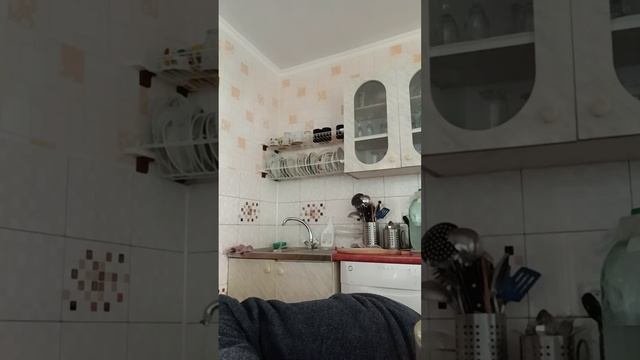 Хоть что-то полезное сделала 😁 В лес теперь можно не ходить❗