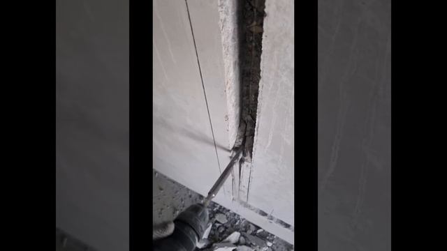 1000001548.mp4