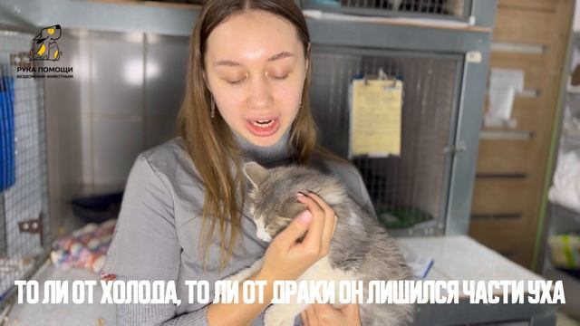 Еще один наш новичок Найк! Поддержать⬇️