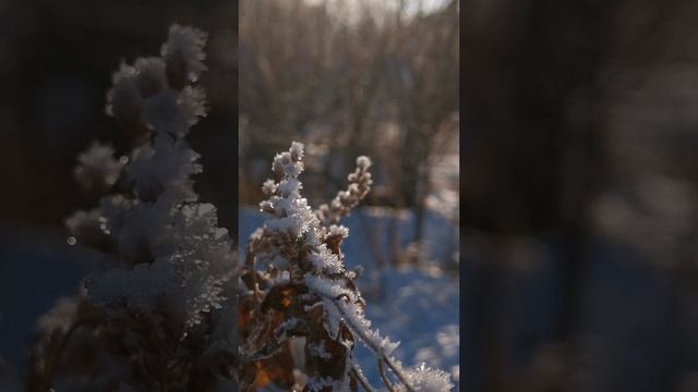 YouCut_20241128_193057184.mp4