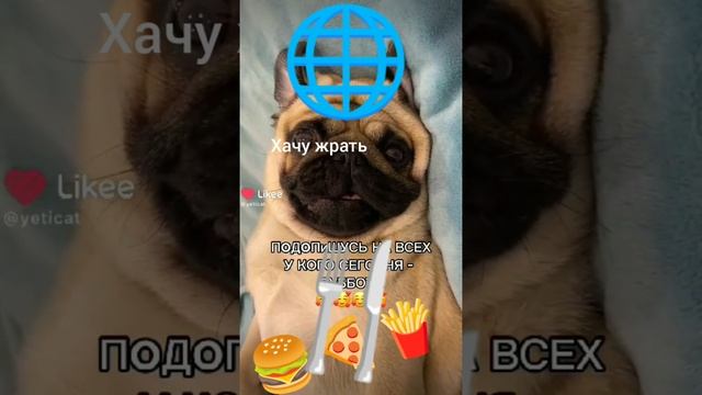 YouCut_20241128_225548804.mp4