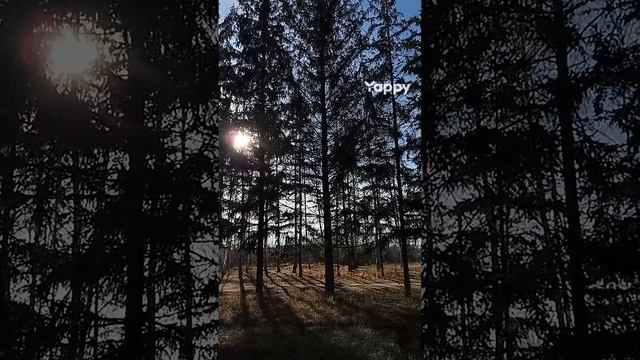 1007100154.mp4