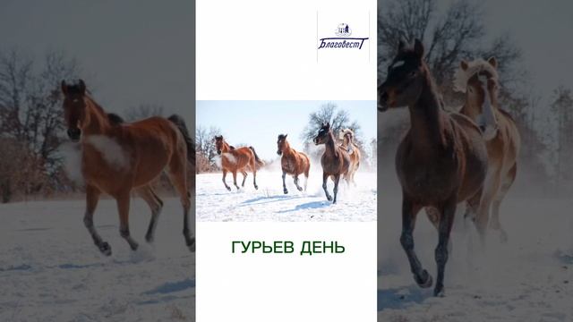 Какой Праздник 28 ноября #благовест #андрей_лишин  #sizovsproduction#топ #праздник #новости #именины