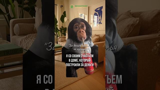 ЧЕРНАЯ ПЯТНИЦА | Цены ниже некуда! успей до 1 декабря! #загородныйдом #строительство #дом #дача