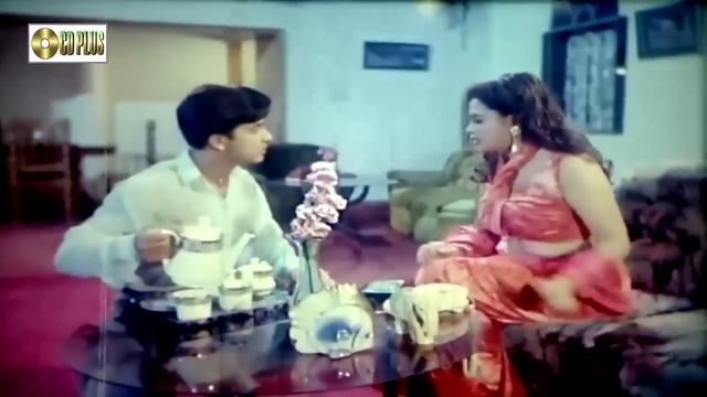 Hira Chuni Panna - হর চন পনন  Bangla Movie  Shakib Khan  Popy  Amin Khan  Dipjol