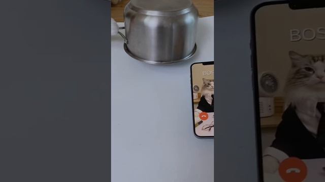 Начальник, не звони мне. Я сплю