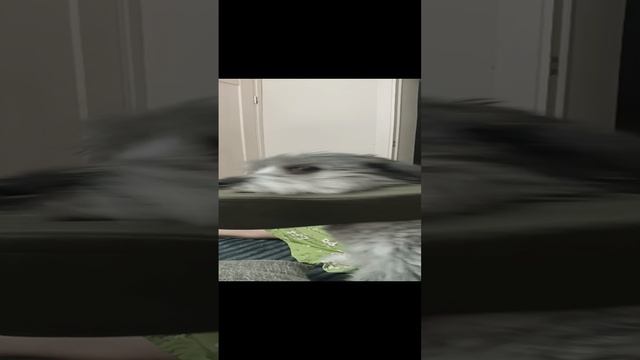 1000020754.mp4