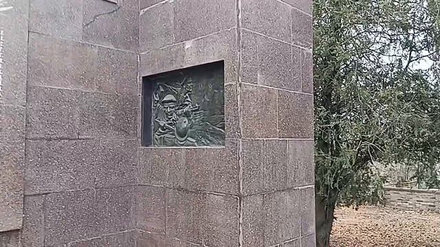 1000015900.mp4