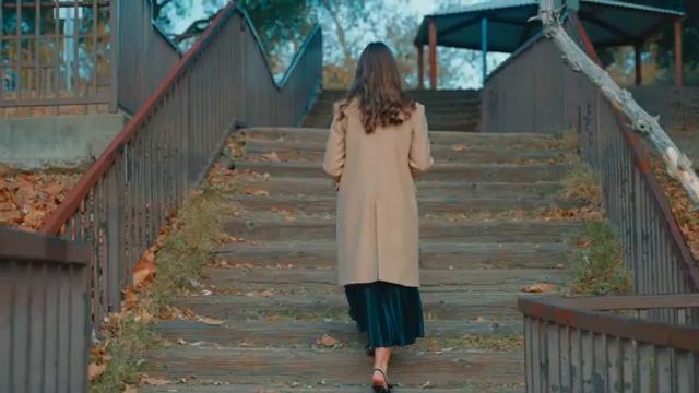 Журавли - группа Луч Солнца