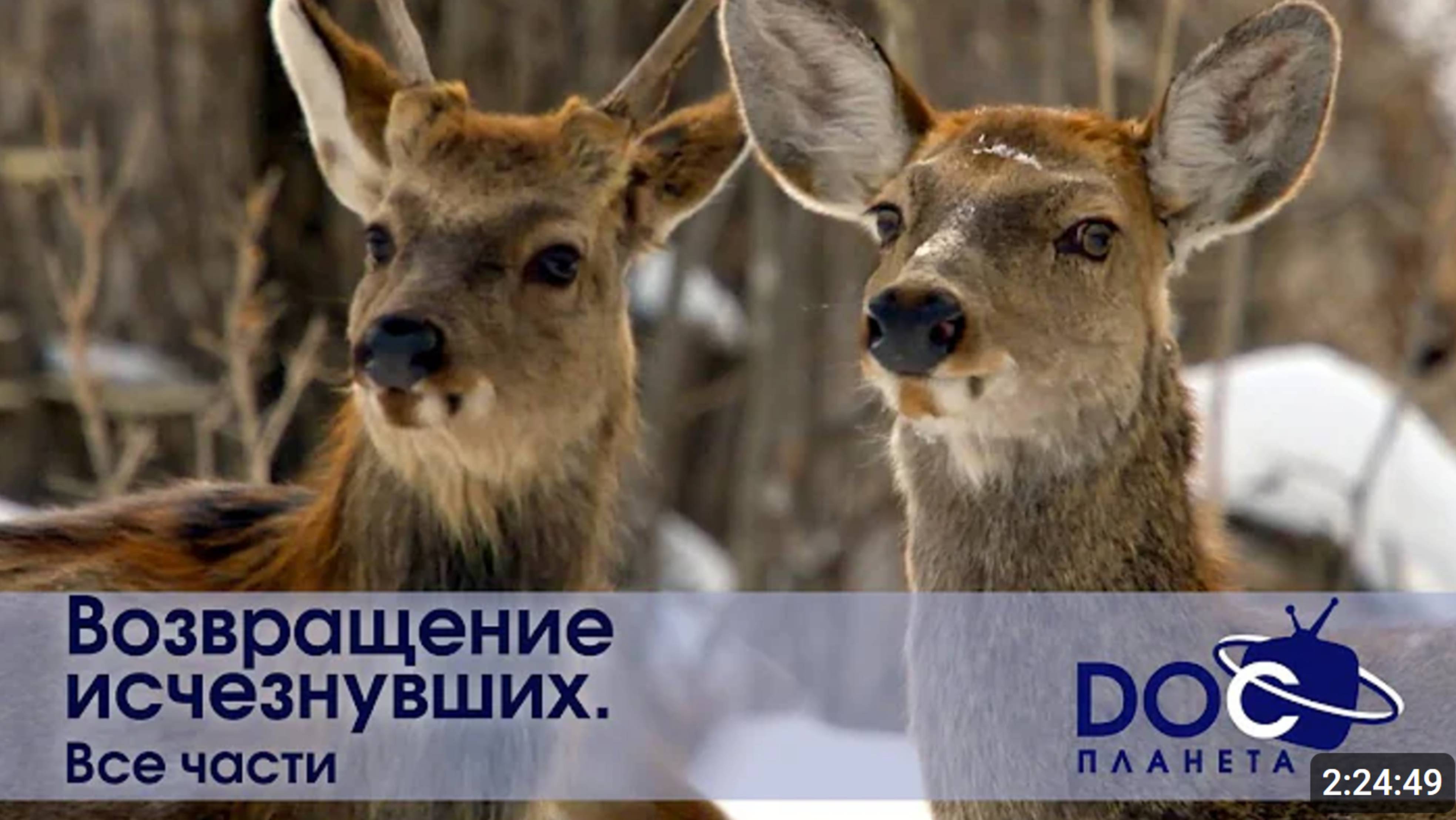 Возвращение исчезнувших.Все части