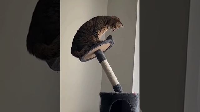 Держимся. Уже среда!