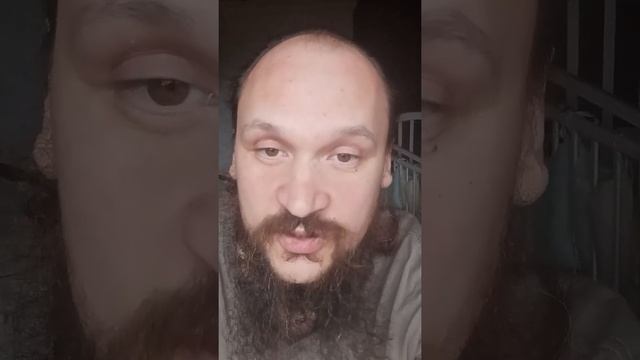 Почему люди отказываются кормить своих лошадей овсом