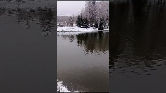 Отчет о состоянии водоема 28 ноября 2024