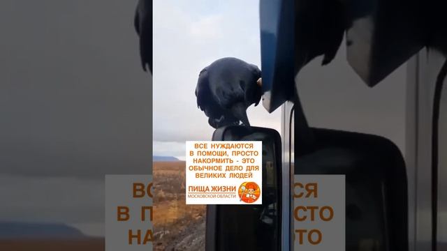 Юмор от Пища Жизни
