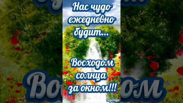 Доброе утро!!!☀️