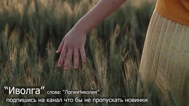 Иволга, песня новинка