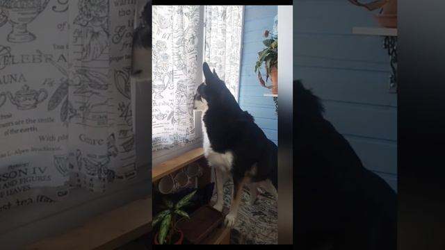 Масянька 🤗😁💖