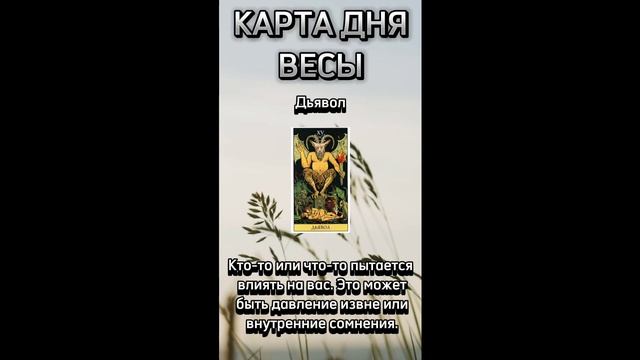 Карта дня ВЕСЫ. В описании подробно