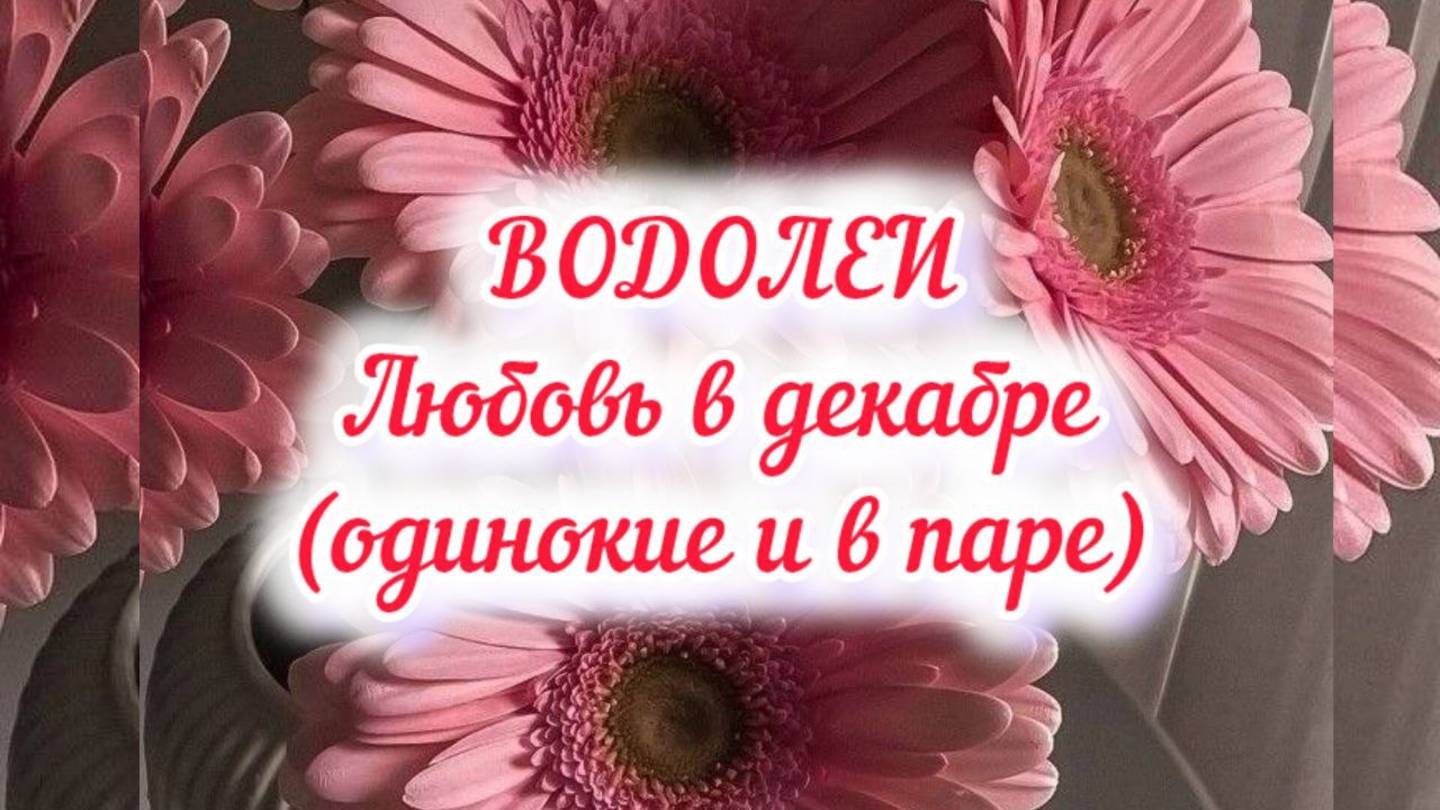 ВОДОЛЕИ - ЛЮБОВЬ в декабре 24г. (одинокие и в паре).