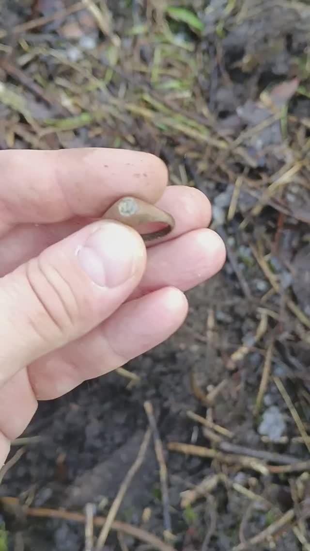 Поднял Царское кольцо с камнем. #shorts  #35metalloff #вологда #коп #like #ring #metaldetector