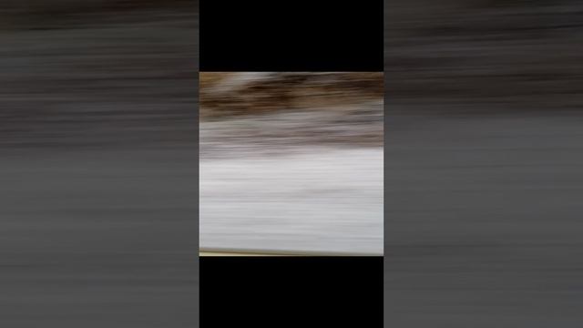Снег