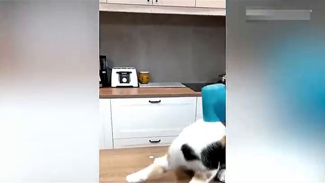 Всячинки