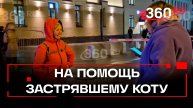 Спасение кота в Королеве. На помощь едет руководитель службы Кошкиспас