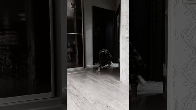 1000119618.mp4