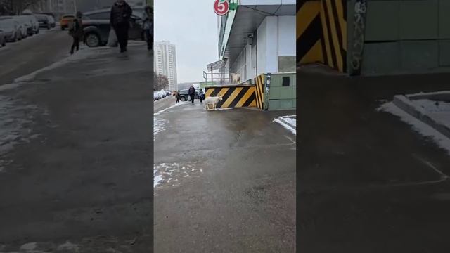🐐В Южном Бутово всё стабильно, снова козы🐐