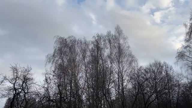 Бутовский полигон