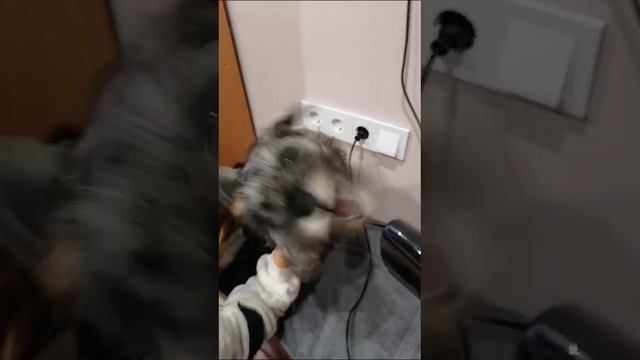 1000057222.mp4