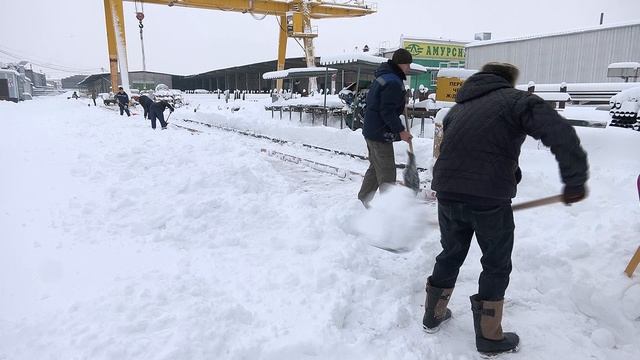 В благовещенских магазинах выстраиваются очереди за лопатами