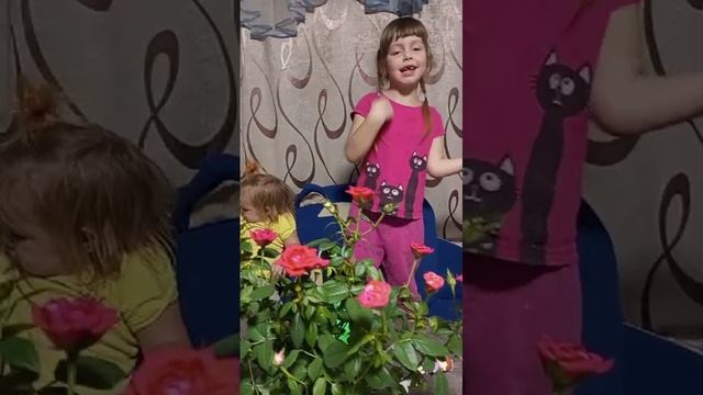 #анна#алена#сигмабой