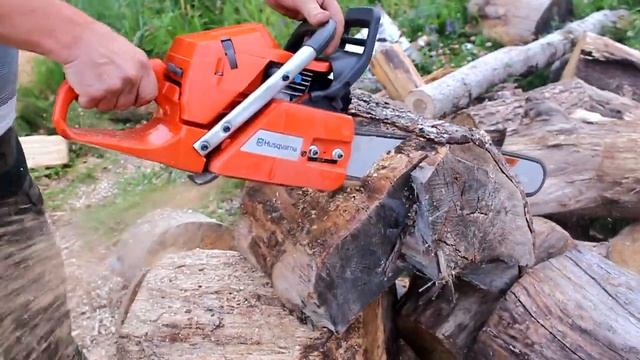 НОВАЯ БЕНЗОПИЛА. ОБКАТКА и Первый распил дерева. Husqvarna 365.