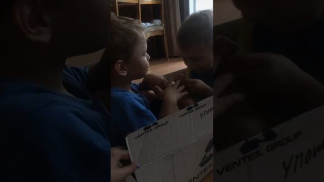 Новые впечатления