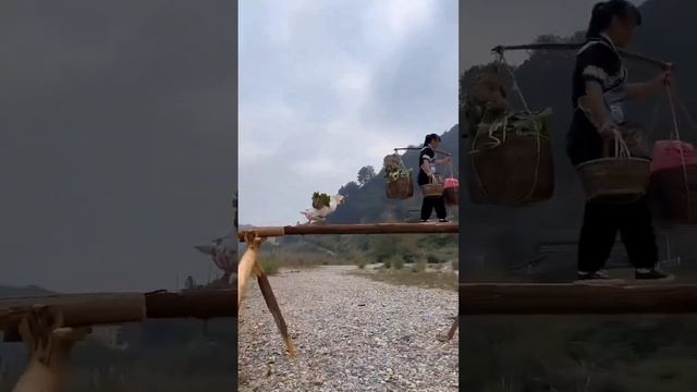 Гусь свалился