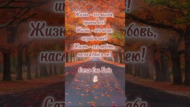 #motivation #quotes #осознанность #послание #мудрость #психология #люди #душа #руны #shorts