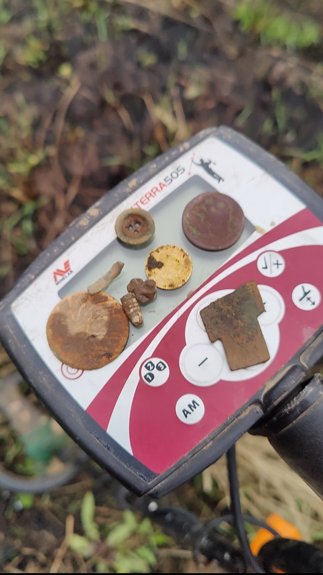 Что я нашел в дивном поле на закрытии сезона? #trending #коп #монеты #metaldetecing #minelab #nature