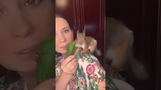Всем хейтерам передает привет Екатерина Стриженова и ее белка Коко!  #юмор #актриса  #белка #кино