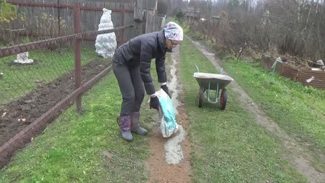 6 соток в конце октября. Раскисляю почву. Ремонт дороги. Укрытие плодовых 2019 год