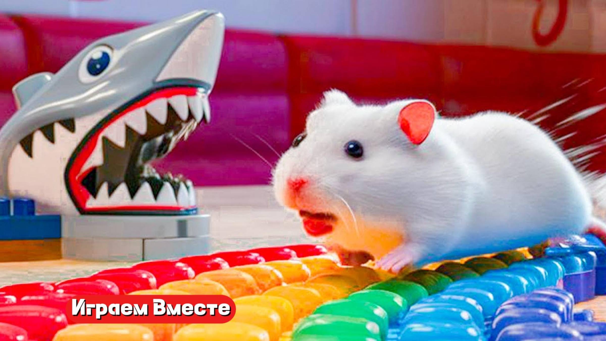 Хомяк попал в СУПЕР ЛАБИРИНТ для домашних животных ! Выбираемся из лабиринта вместе !