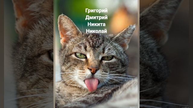 Именины 28 ноября
