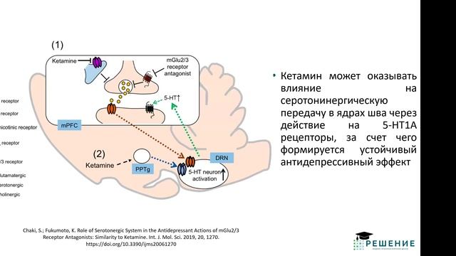 6. Аспекты фармакологической помощи при аффективных расстройствах (26.11.24)