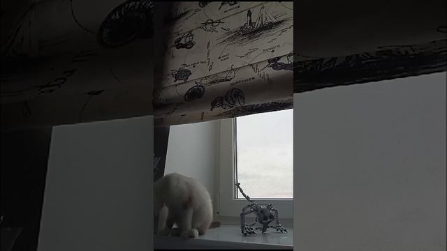 1000001139.mp4