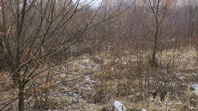 Пром 1,3 Га На Домодедовском шоссе