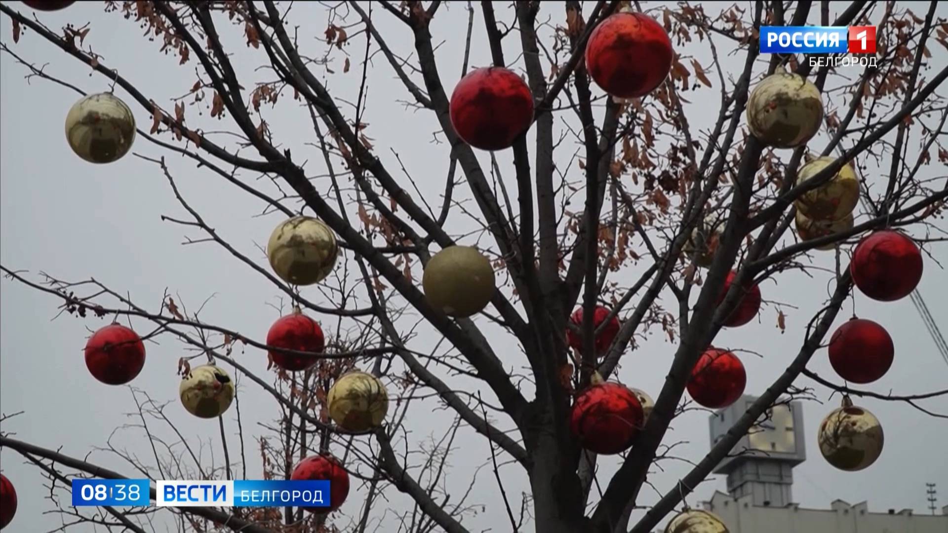 Эфир от 28.11.2024 (08:35). Утро. Вести. Белгород