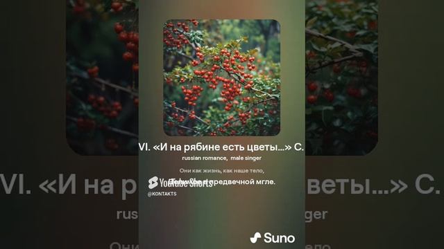 Цветы VI «И на рябине есть цветы…» С Есенин VERSUZ от SUNO & KONTAKTS. Это просто ХИТ! Лучшее...