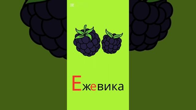 lv_0_20241128151750.mp4