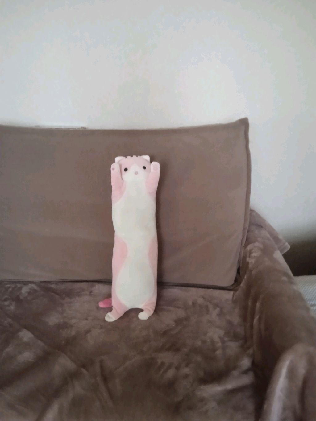жвачка
