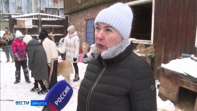 Ученики 14-й школы Иркутска помогают приюту для собак